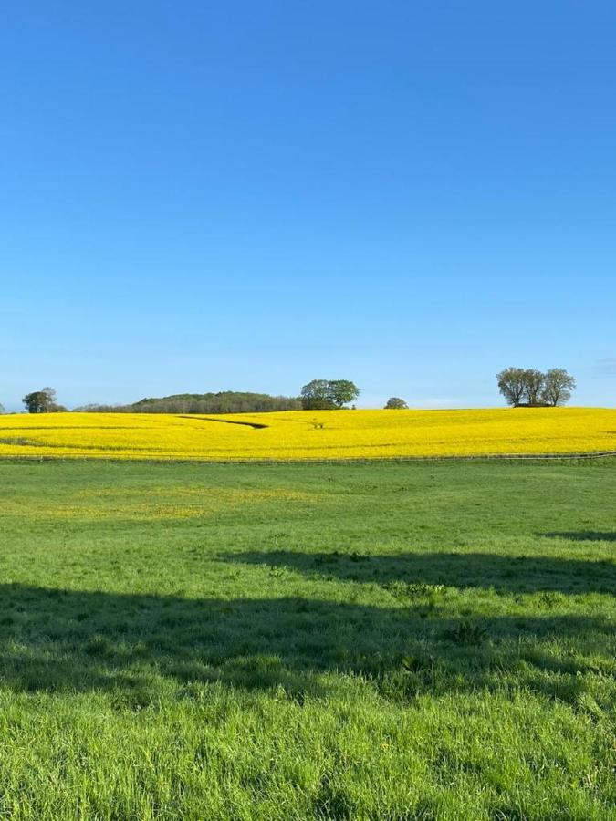 Schmuckstueck In Ostseenaehe Surendorf 외부 사진
